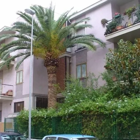 Gatto Bianco Picone 19 Bari