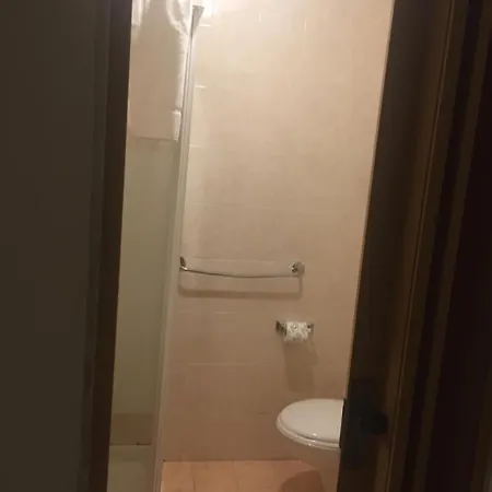 Gatto Bianco Picone 19