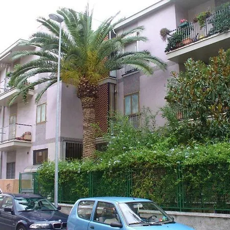 Gatto Bianco Picone 19 3*