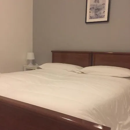 Gatto Bianco Picone 19 3*