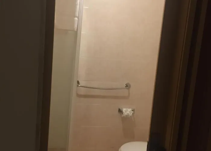 Gatto Bianco Picone 19