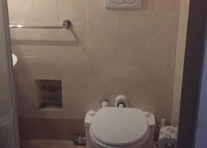 Gatto Bianco Picone 19 3*