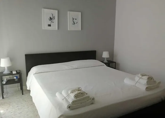 Gatto Bianco Picone 19 בארי