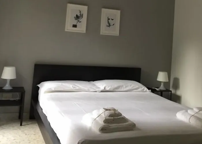 Gatto Bianco Picone 19 3*