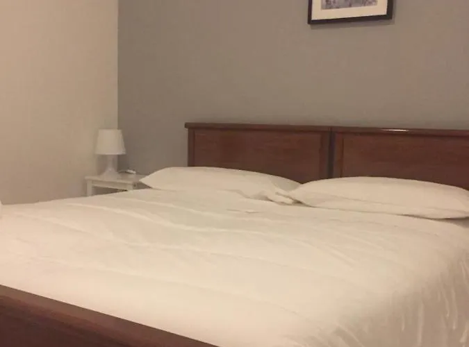 Gatto Bianco Picone 19 3*