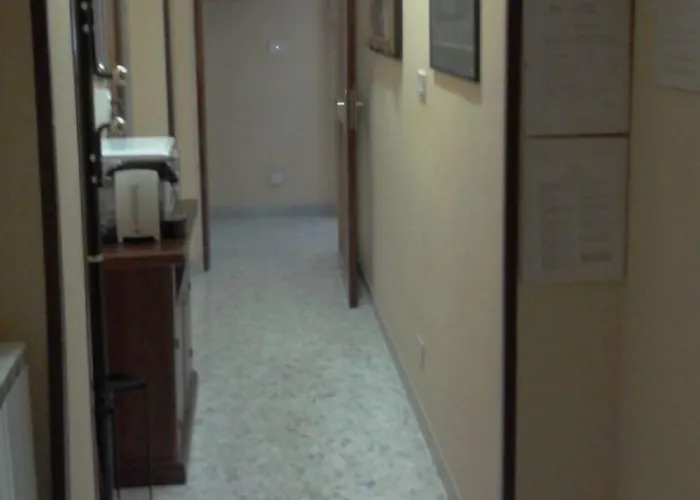 Gatto Bianco Picone 19 Bari