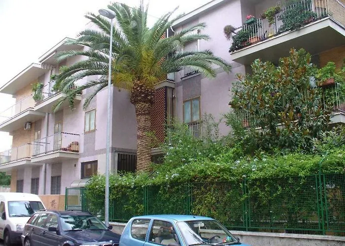 Gatto Bianco Picone 19 3*